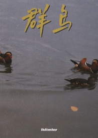 群鸟飞过湖面句子